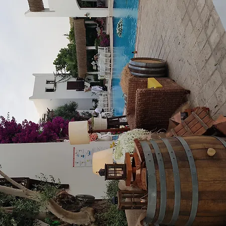 Ece Bodrum Golturkbuku