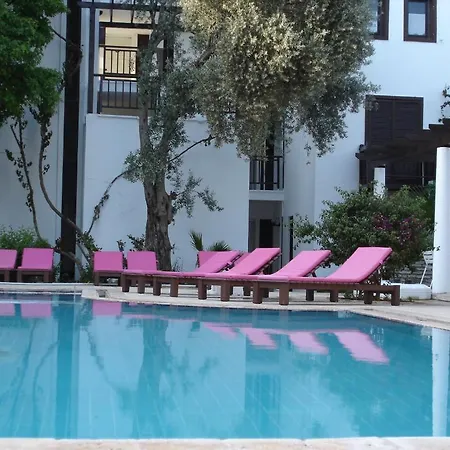 Hotel Ece 
