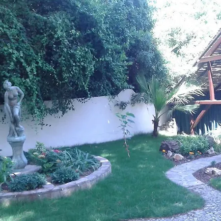 Ece Bodrum Golturkbuku