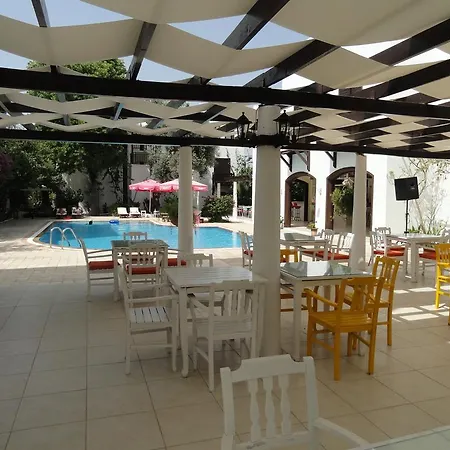 Ece Bodrum