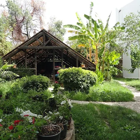 Ece Bodrum Szálloda Golturkbuku