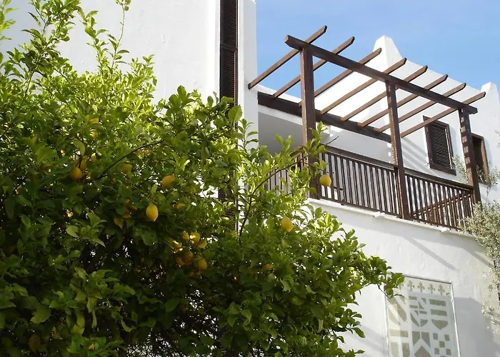 Ece Bodrum