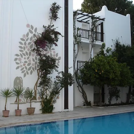 Hotel Ece Veganhotel Bodrum 3*