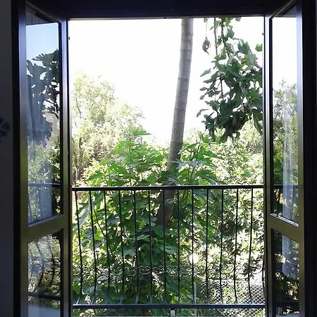 Ece Veganhotel Bodrum Hotel Göltürkbükü