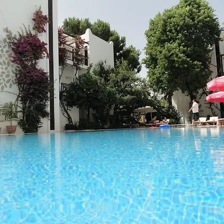 Ece Bodrum Göltürkbükü