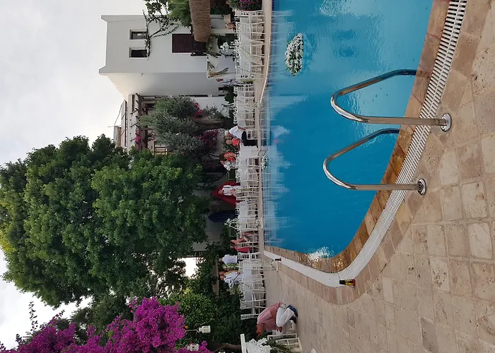 فندق Ece Bodrum