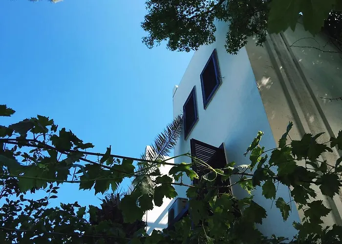 Ece Bodrum فندق غولتوركبوكو