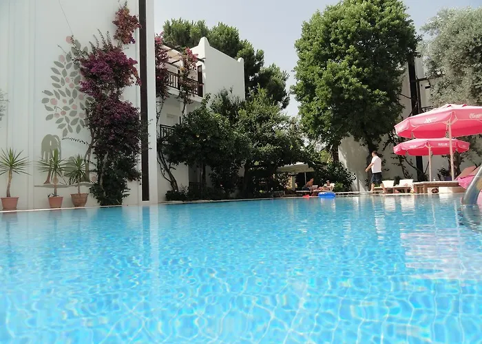 Ece Bodrum غولتوركبوكو